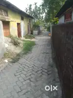 Tezpur Goroimari near air force (urgent sell)