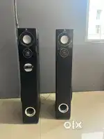 zebronic tower speaker