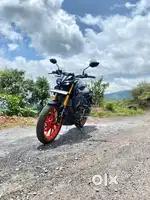 2024 model MT15 available