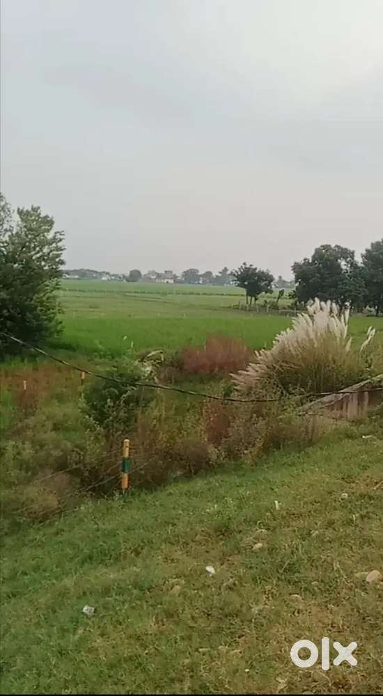 Plots and all types of land available very good deals are waiting