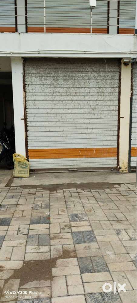 near pote college