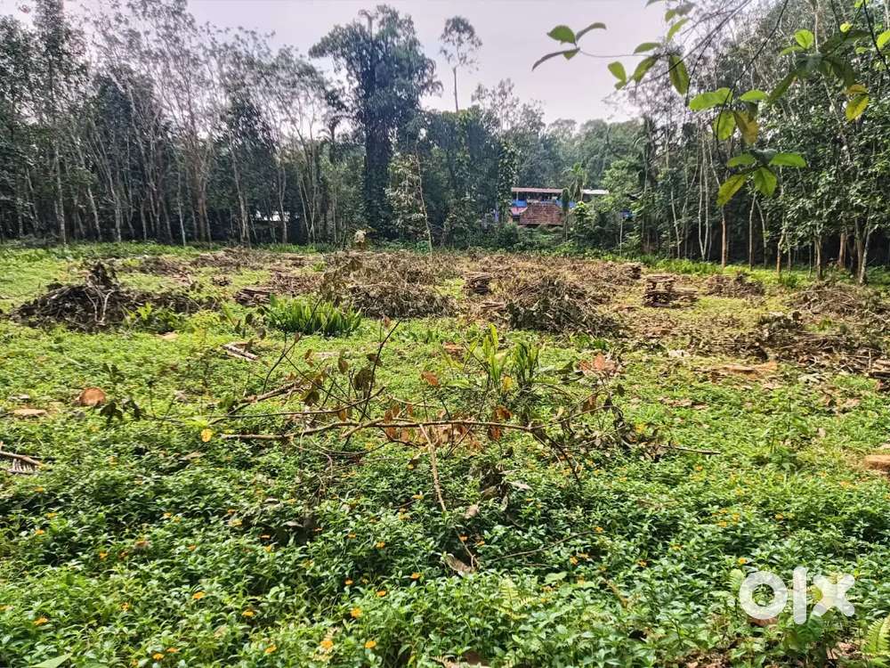 Plot is good for planting