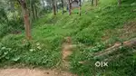 മീനങ്ങാടിയിൽ 1.82 ഏക്കർ സ്ഥലം 37000/സെൻ്റ്