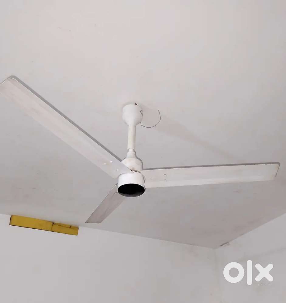 Sealing fan