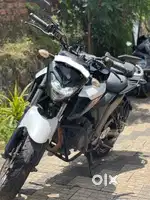 Fz 250 no complaints