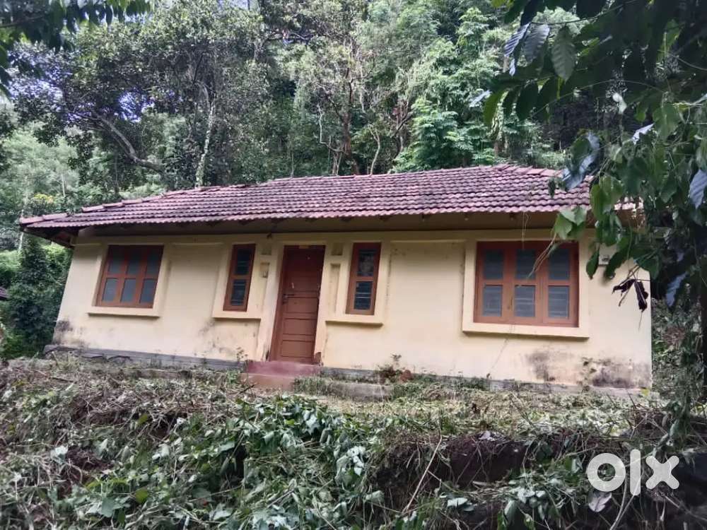 Farm land for Sale - Sholayar near Anaikatti