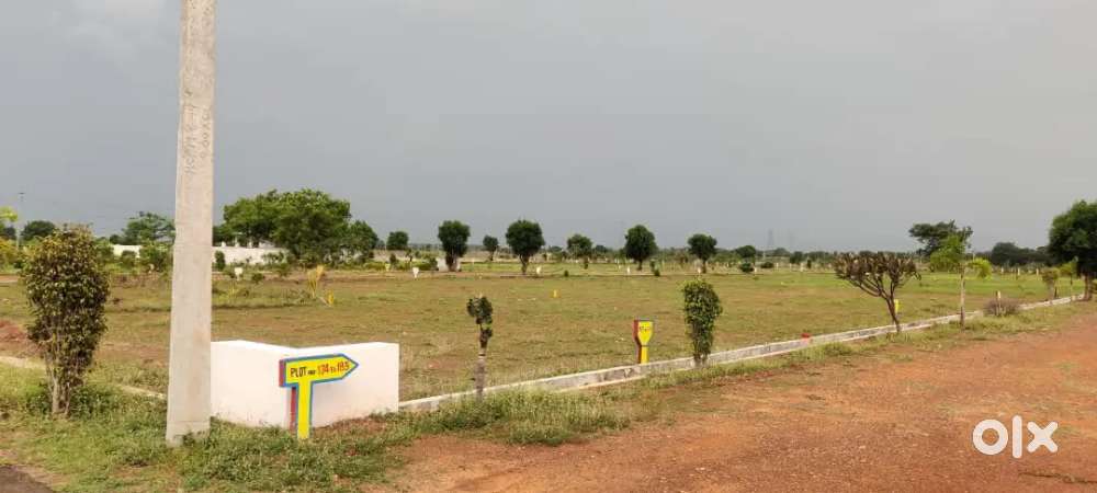 Approved villa plots for sale nearby Venkatagiri & Tirupati