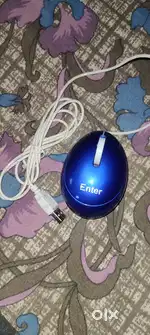 Laptop and Computer (Egg Mouse)