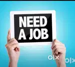 Nedd a job