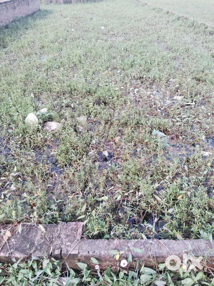 Land is for residential purpose