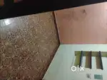 Rent house