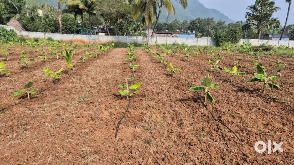 Invest Small - Earn Big ! Growth Farm Income Model