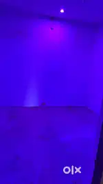 Room for rent only girls allowed