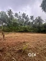 A land with easy access to nearby town kattangal, NIT is a land mark