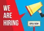 Hiring for IT and Non IT Jobs Bckdoor