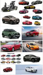 Raipur me One day. Driver available and booking ke liye sampark kare