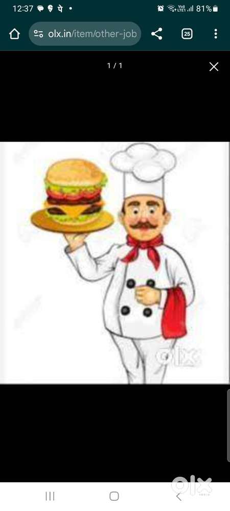 Looking for Assistant Cook-Kitchen helper