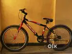Bicycle big tyre