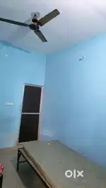Need roommate