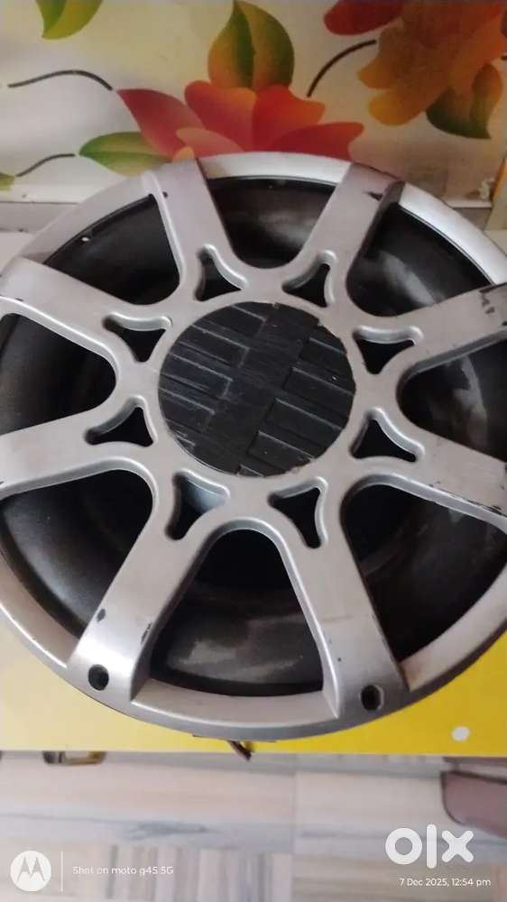 Amplifier with woofer 12