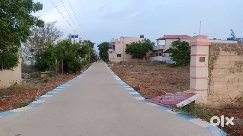 dtcp land - saraswathi nagar - manmangalam
