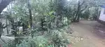 54 cent land with old house in muvattupuzha