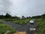 Prime House plot near Eruvely, Chottanikkara