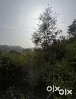6.5 bigha agriculture land for sale
