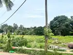 Empty land for rent