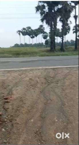 2.3 Acre land for sale in Kinathukadavu-SokkanurRd -Acre 2.5 Crores