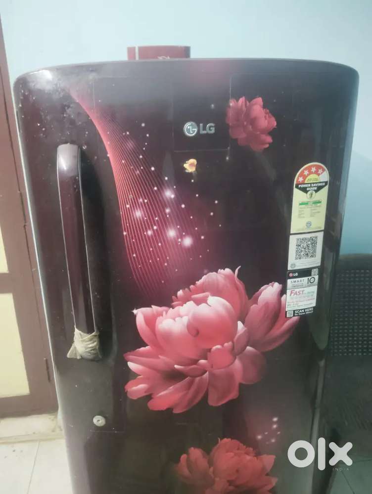 LG fridge single door