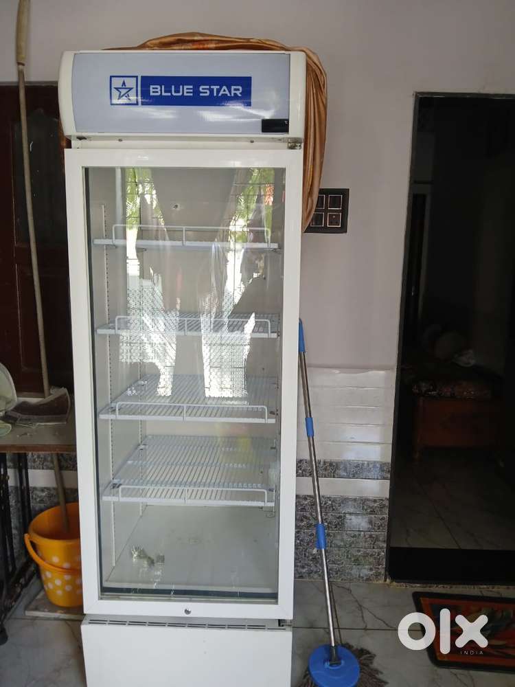 Bluestar Refrigerator in untouched condition