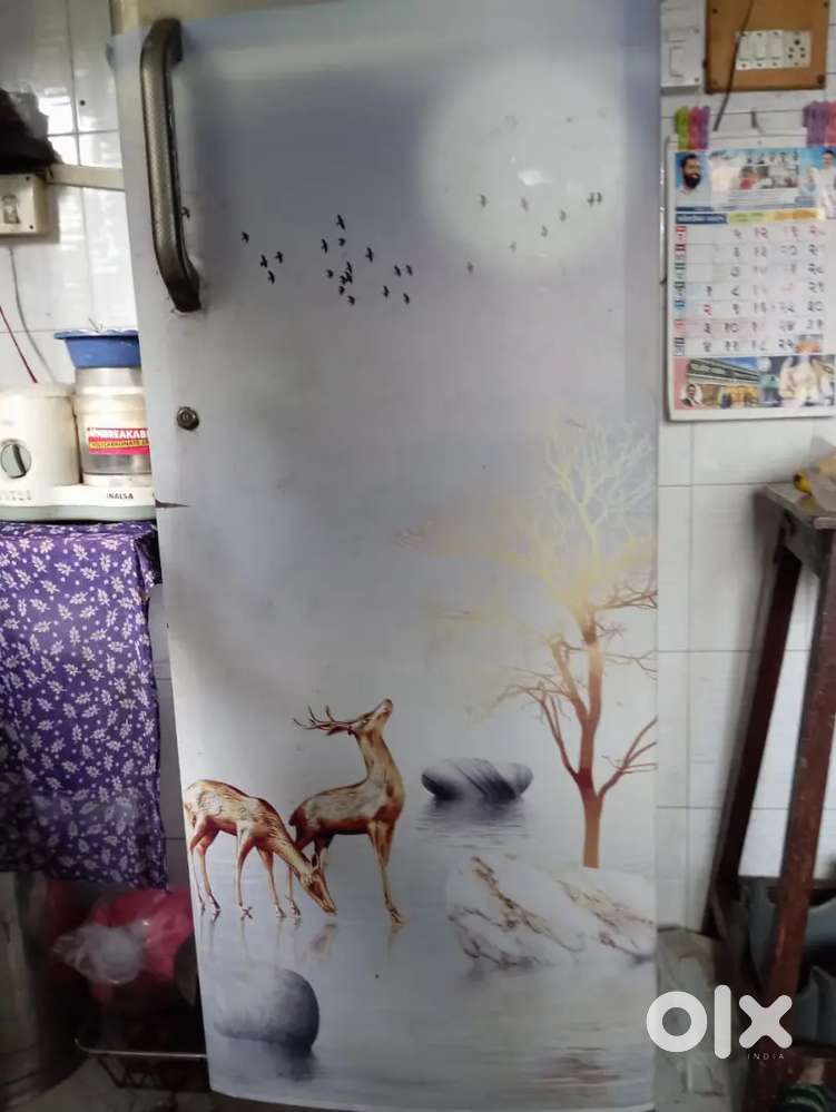 Fridge for selling
