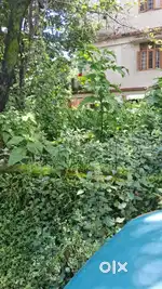 Plot for sale at Rajeswar nagar