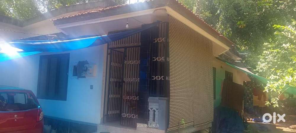 House and 44 cent Plot for Sale