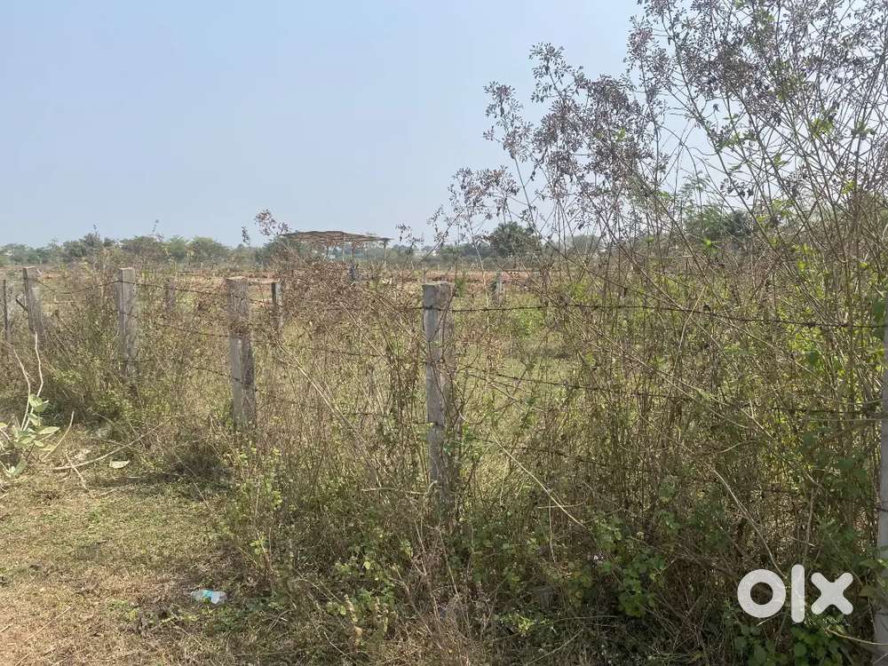 Gadala site  near rajamandri kolamuru