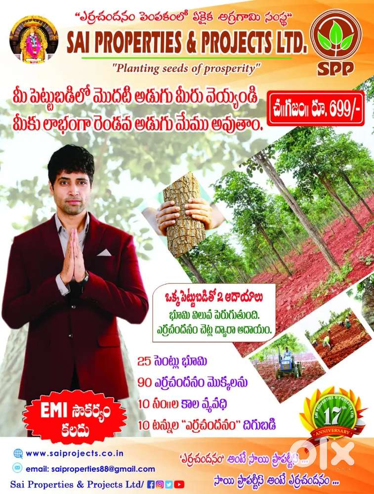 Agriculture Red sandal wood plants plots for sale