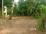 KAKKANAD ALAPPAT NAGAR 11 CENT VILLA PLOT FOR SALE.