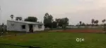 గజం 4900 మధ్యతరగతి వారికి అందుబాటు ధరల్లో farmland resort vizianagaram