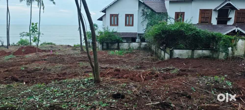 29 Cent Plot For sale  beach side side Thottada kannur