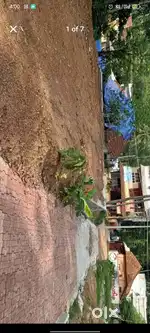 Nedumangad Manja plot for Sale