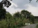 Land sale 1kanal  road front