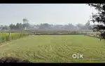 Tronica Land for factory