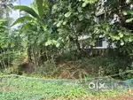 7.5 cent Residencial Land Pamboor Thrissur
