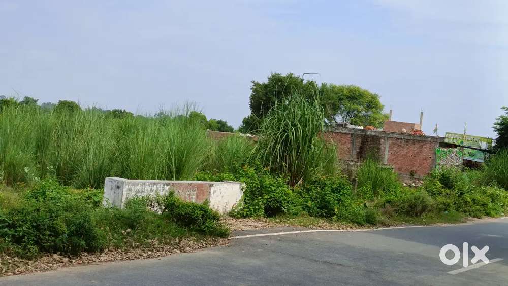 150 gaj commercial plot