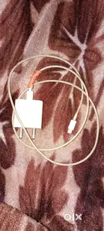 Apple charger original