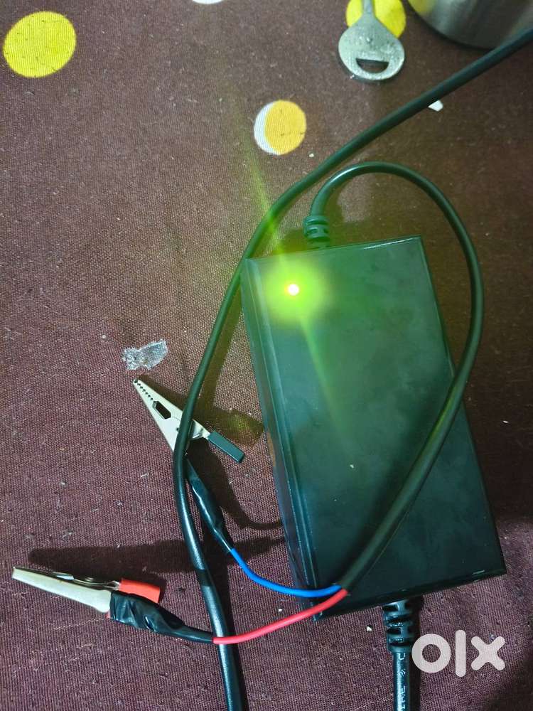 12 volt Battery charger spray pump charger