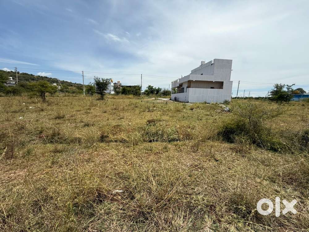 Best plot with reasonable price