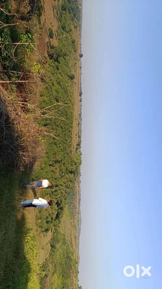 Trambakeswar, pimpri shivar