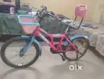 Girls T20 cycle